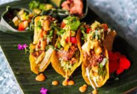 The BEST Vegan JACKFRUIT Tacos | Incredibly TASTY TACOS!