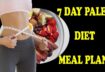 7 Day Paleo Diet Meal Plan