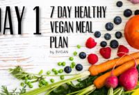 7 DAY HEALTHY VEGAN MEAL PLAN  – DAY 1 | Vegan Michele